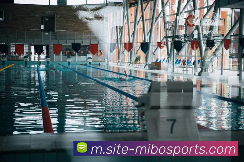 App Interface Preview